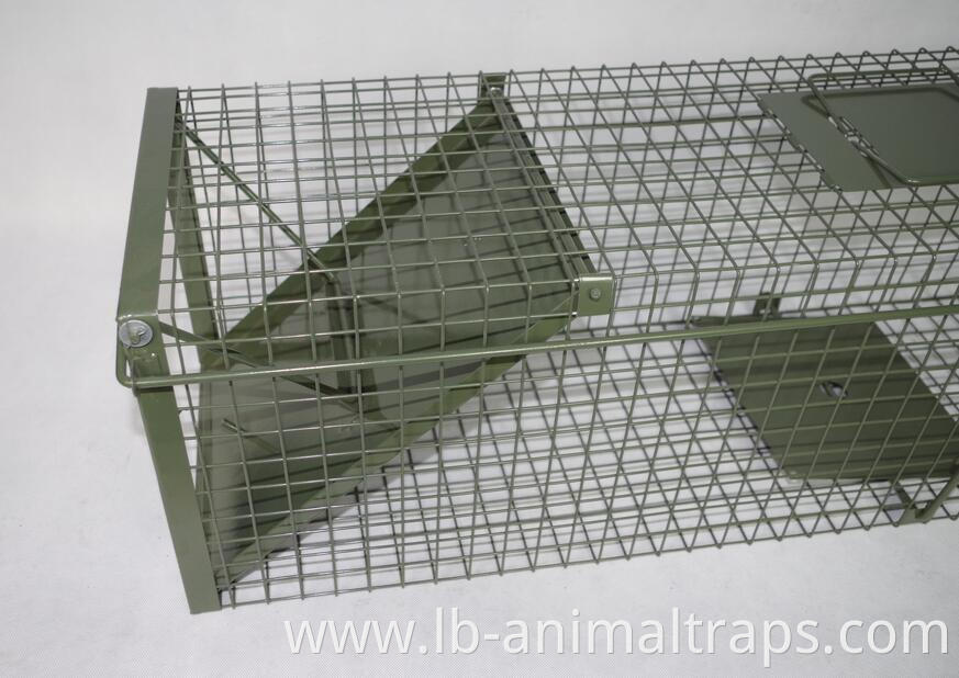 humane live multi catch wire mesh metal mouse rat animal trap cage Green PVC Live Badger Cage Trap